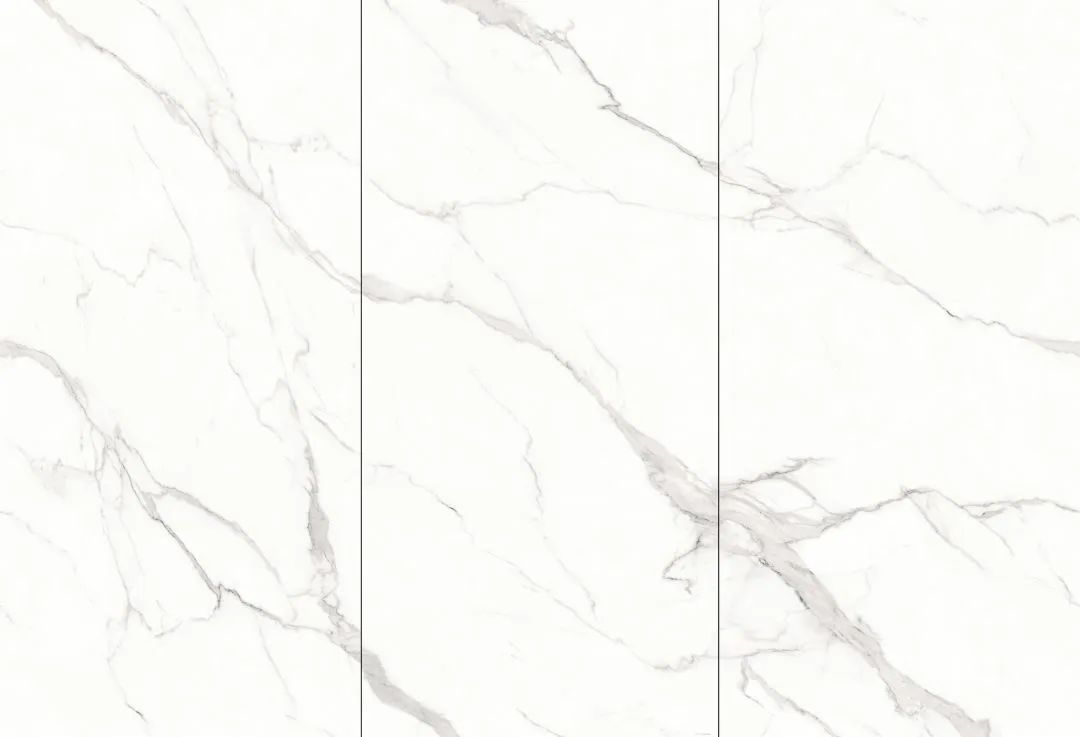 【新品】奢華定制，1600x3200mm成就大宅風范！(圖24)