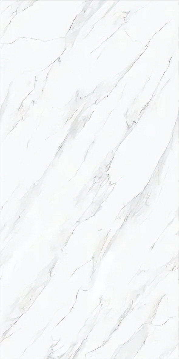 【新品】奢華定制，1600x3200mm成就大宅風范！(圖26)